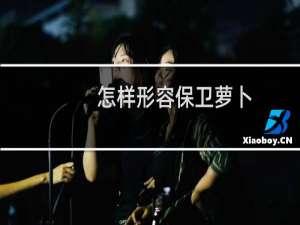 怎样形容保卫萝卜