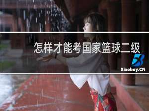 怎样才能考国家篮球二级证