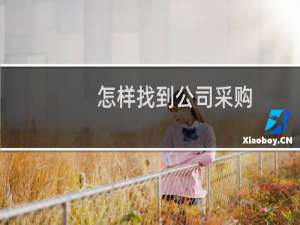 怎样找到公司采购