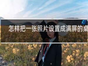 怎样把一张照片设置成满屏的桌面