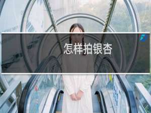 怎样拍银杏