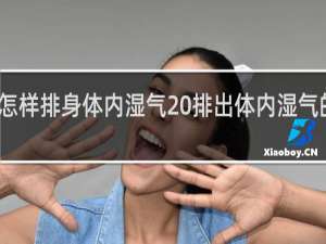 怎样排身体内湿气 排出体内湿气的方法