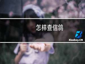 怎样查信鸽