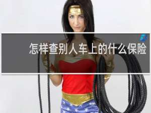 怎样查别人车上的什么保险