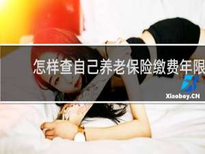 怎样查自己养老保险缴费年限