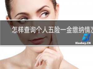 怎样查询个人五险一金缴纳情况