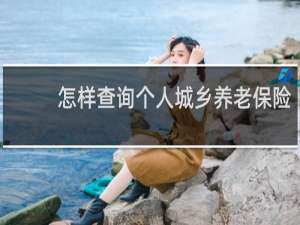 怎样查询个人城乡养老保险