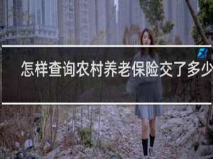怎样查询农村养老保险交了多少年