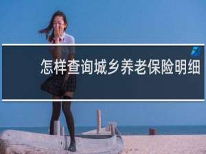 怎样查询城乡养老保险明细