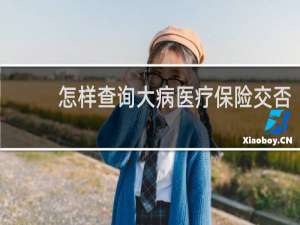 怎样查询大病医疗保险交否