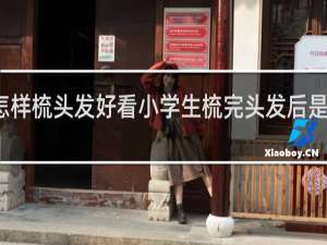 怎样梳头发好看小学生梳完头发后是披着的