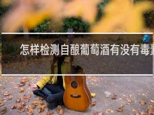 怎样检测自酿葡萄酒有没有毒素
