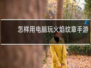 怎样用电脑玩火焰纹章手游