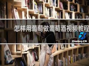 怎样用葡萄做葡萄酒视频教程