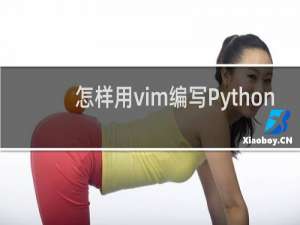 怎样用vim编写Python