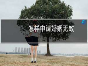 怎样申请婚姻无效