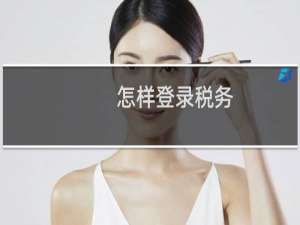 怎样登录税务
