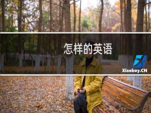 怎样的英语