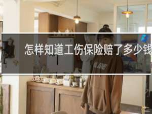 怎样知道工伤保险赔了多少钱