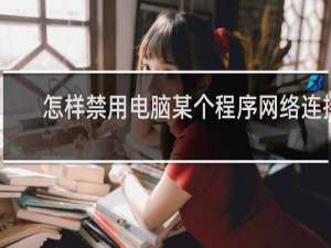 怎样禁用电脑某个程序网络连接