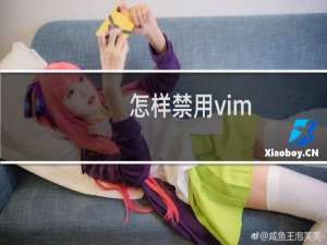 怎样禁用vim