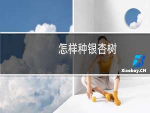 怎样种银杏树
