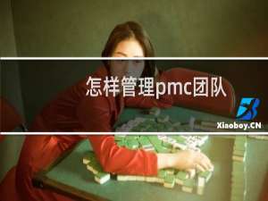 怎样管理pmc团队