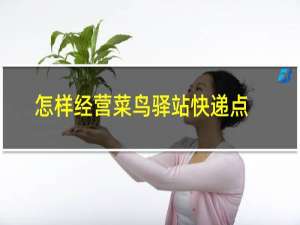 怎样经营菜鸟驿站快递点