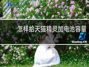 怎样给天猫精灵加电池容量