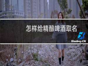 怎样给精酿啤酒取名