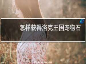 怎样获得洛克王国宠物石