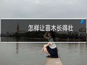 怎样让苗木长得壮