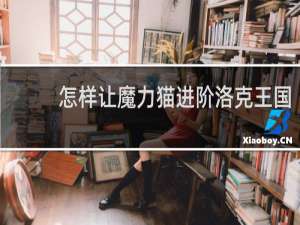 怎样让魔力猫进阶洛克王国