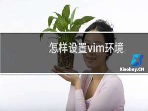 怎样设置vim环境