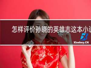 怎样评价孙晓的英雄志这本小说