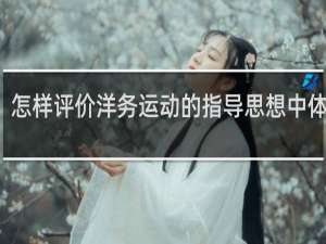 怎样评价洋务运动的指导思想中体西用