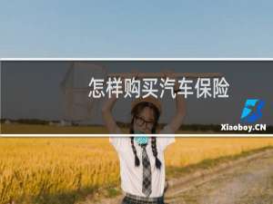 怎样购买汽车保险