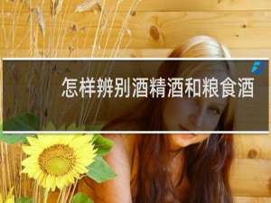 怎样辨别酒精酒和粮食酒
