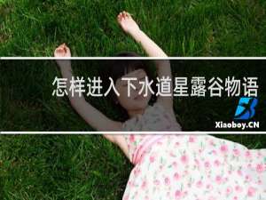 怎样进入下水道星露谷物语