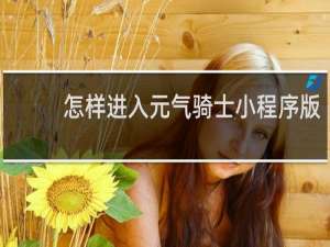 怎样进入元气骑士小程序版