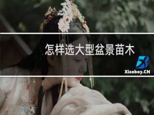 怎样选大型盆景苗木