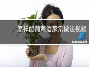 怎样酿葡萄酒家常做法视频