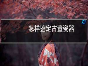 怎样鉴定古董瓷器