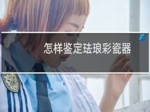 怎样鉴定珐琅彩瓷器