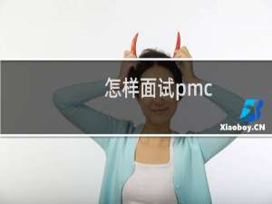 怎样面试pmc