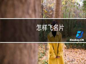 怎样飞名片
