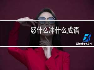 怒什么冲什么成语