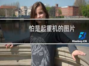 怕是起重机的图片