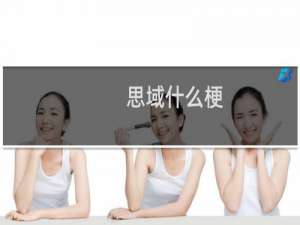 思域什么梗