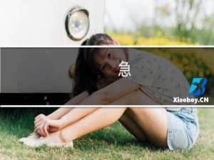 急,我的服务起后台 以及服务器上的站点都登不上了